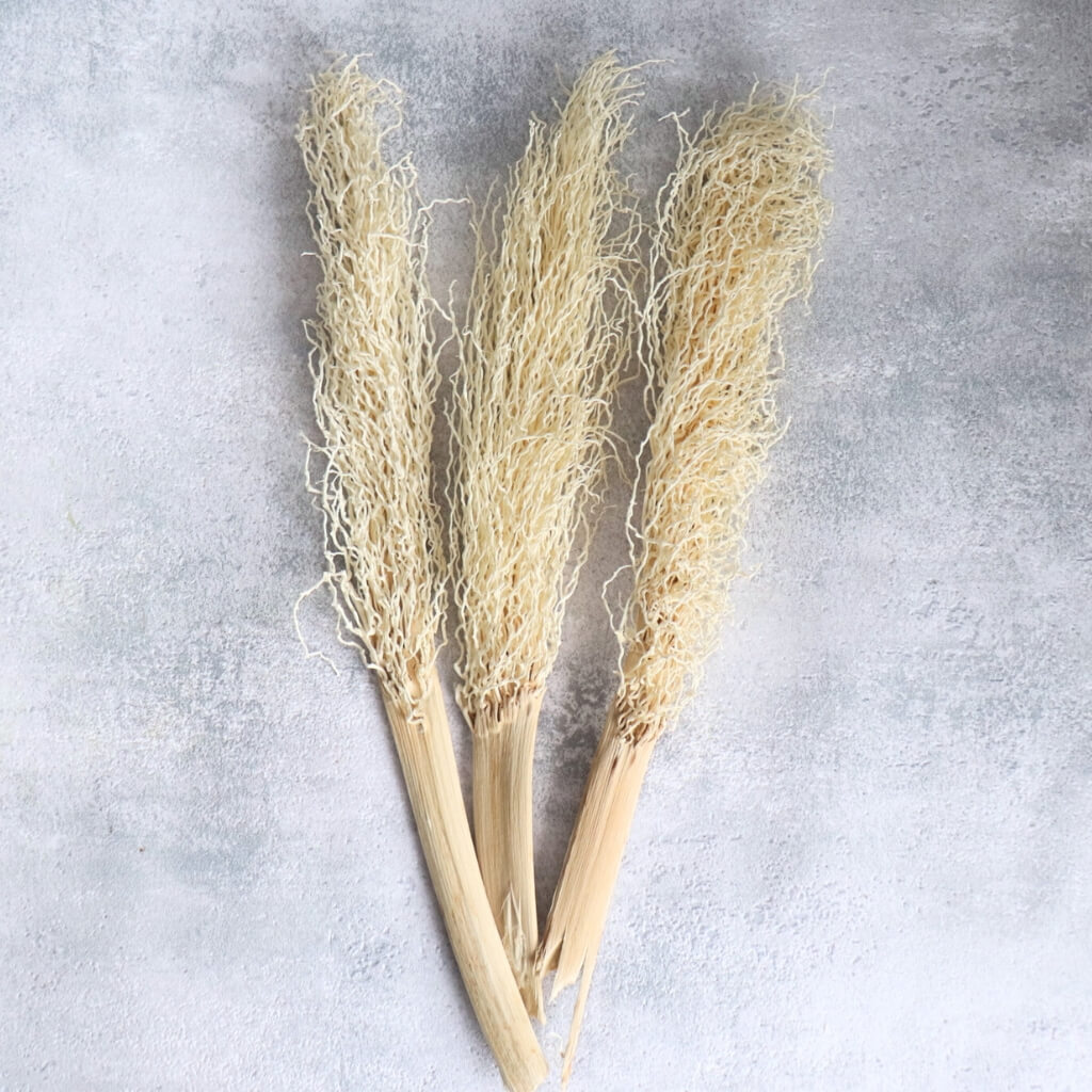 Sušený Khejur – bělený (list datlovníku), elegantní přírodní dekorace s nadčasovým vzhledem